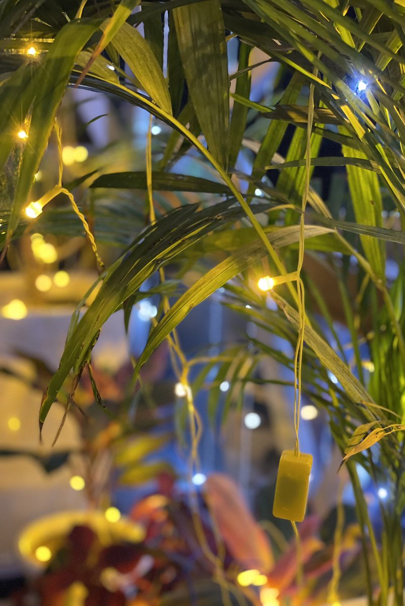 gsushma55's tweet image. के .. सज गया है घर, रोशनियों से .. नयी उमंगों, नए जोश, नए उत्साह से .. प्यार से, सुकून से, ख़ुशियों से .. घर! .. ये प्यारा सा घर .. मेरा, मेरे अपनों का .. 

#Sush_Click! #diwalivibes! ♥️