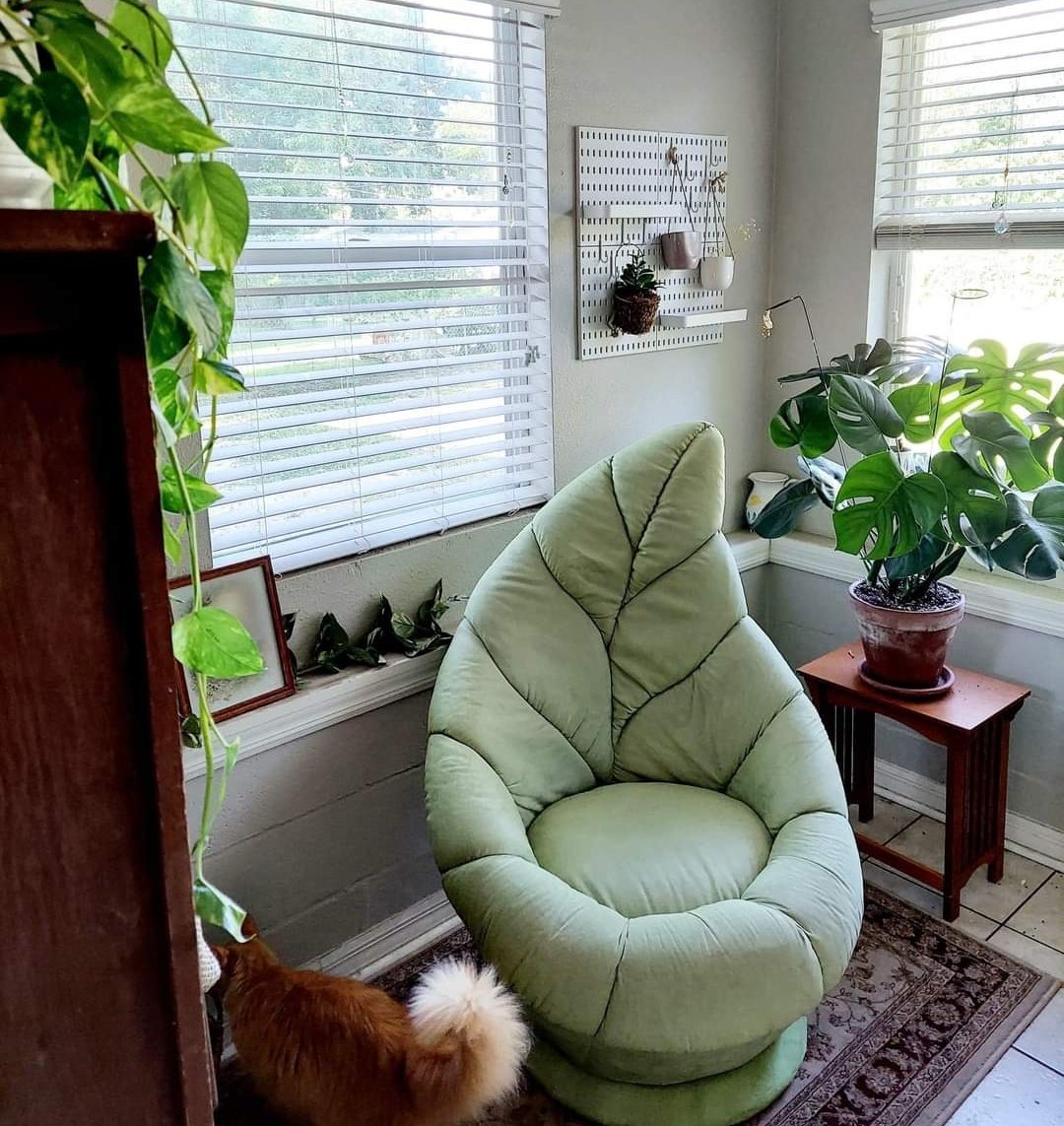 are there any houseplant hobbyists here? check out this chair