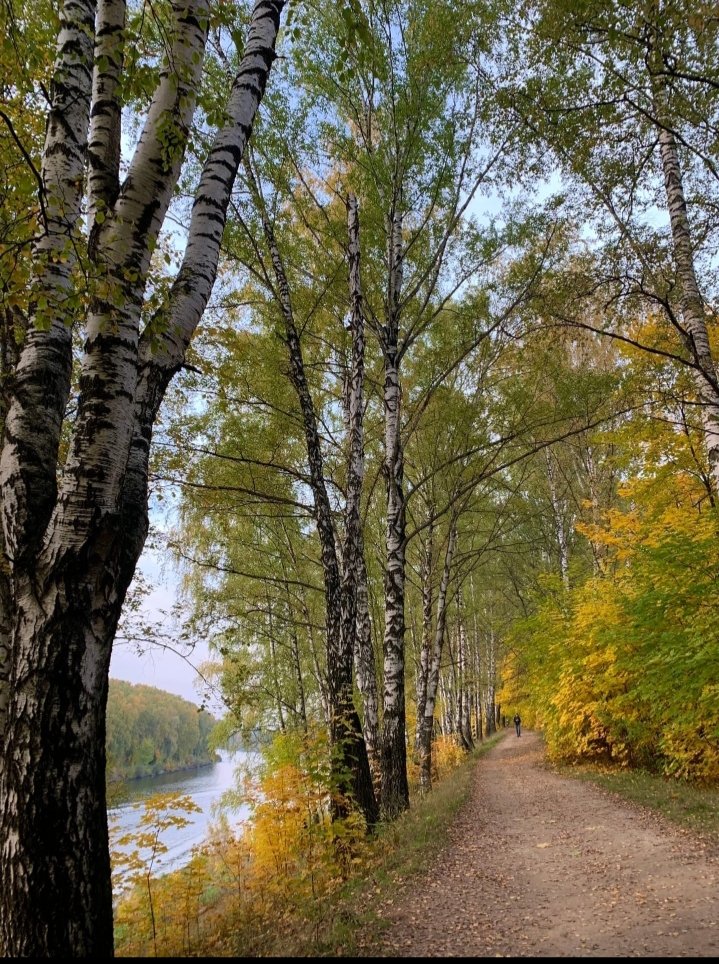 AvsLarisa's tweet photo. Пока нет дождей, наслаждаюсь прогулкой по набережной, любуюсь прекрасной осенью и успокаиваю нервы от новостей и событий. https://t.co/F2oYIamo9v