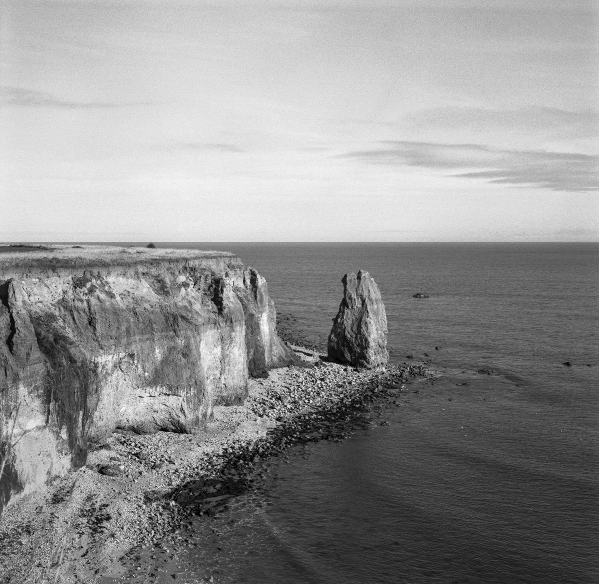 JJSalkeld1's tweet photo. From Ryhope Dene. My kind of landscape. More at https://t.co/P8A0Iscxir shortly. #120film #ilfordfp4 #durhamcoast https://t.co/tPvLw3YitW