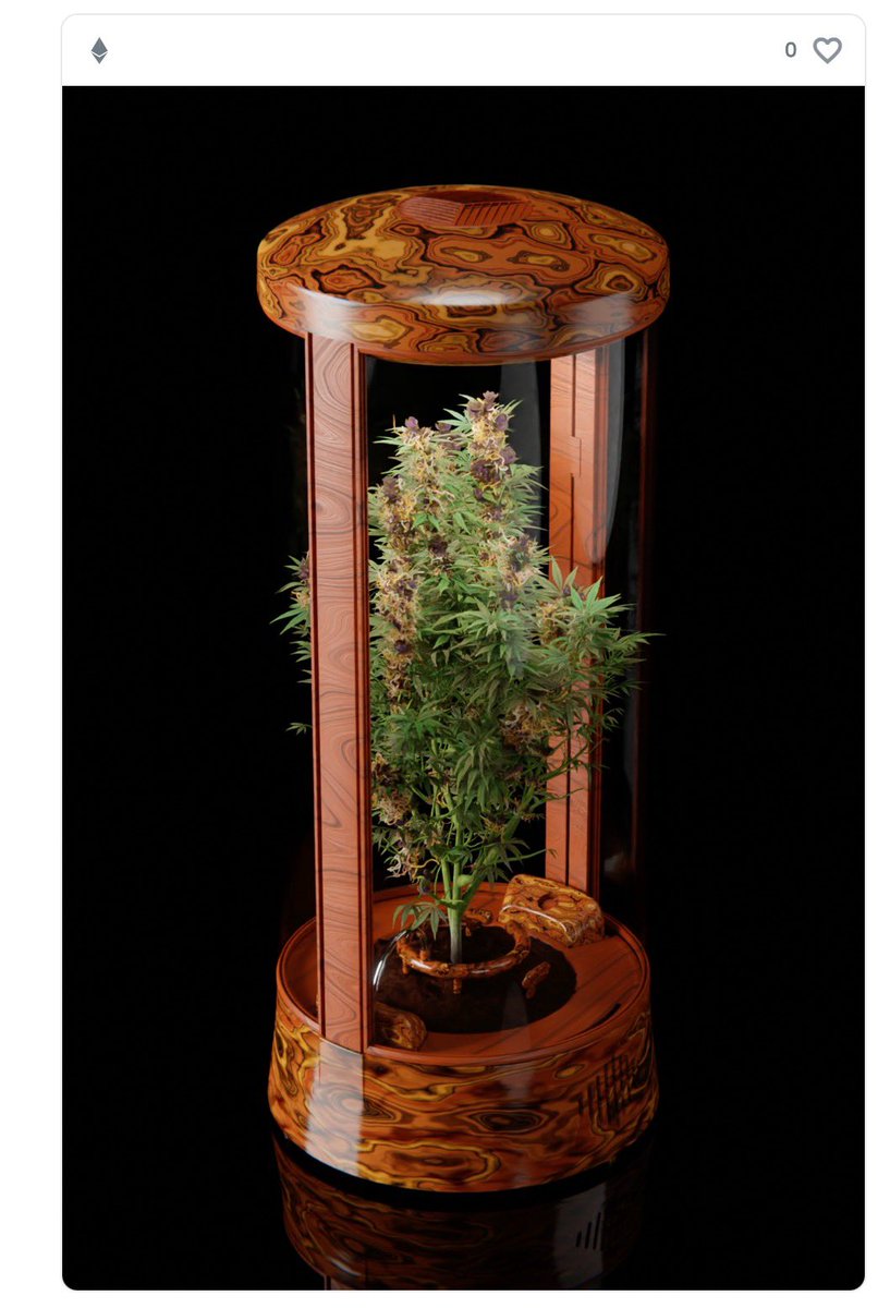 I was born with a black thumb so when i was told i could mint a green one i was all in! <a href="/CryptoGrowNFT/">CryptoGrow NFT</a>  following back all Grow fam music.apple.com/us/album/dr-de…