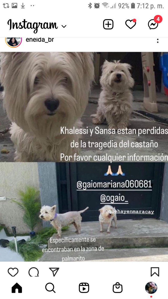 PerroUsuario's tweet photo. Se buscan El Castaño Aragua RT @leonorgedeon: SE BUSCAN. EL CASTAÑO.  https://t.co/ksS3ACNJND