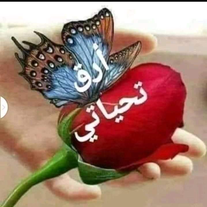 ( منتهى العشق ) tweet media