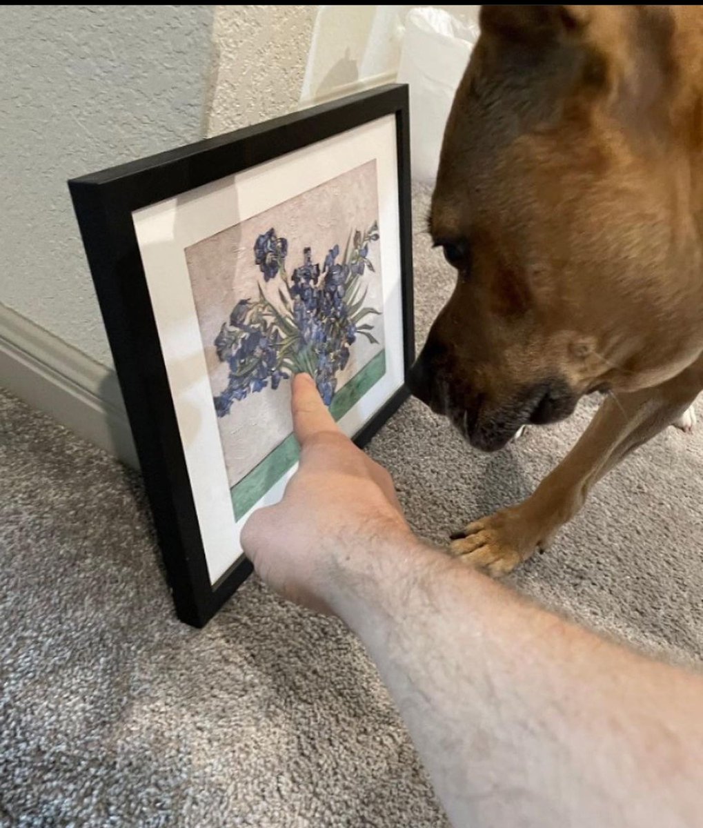 beef clapton: soldier of fortune (@thetrompwner) on Twitter photo 