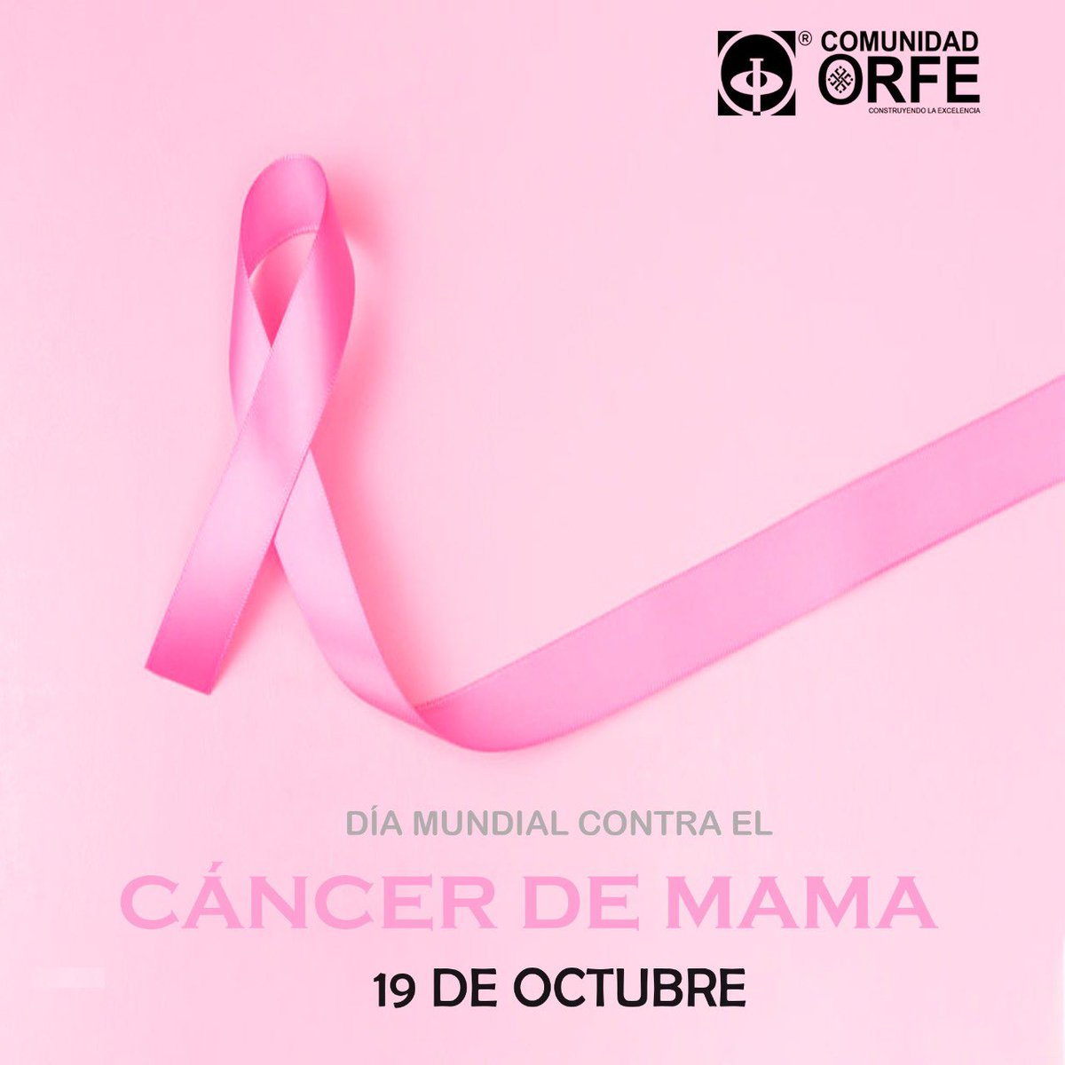 CARLOS ORFE tweet media