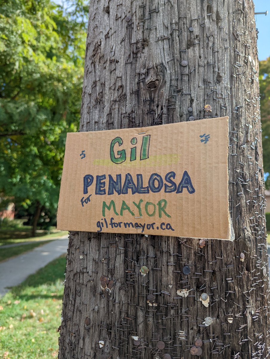 gwenstyles's tweet photo. I voted for a guy named Gil in the advanced polls, and then the next day I saw this cute homemade sign 🥰 Someone in South Etobicoke loves you @Penalosa_G, good luck! #TOpoli https://t.co/hNIXJGXLrF