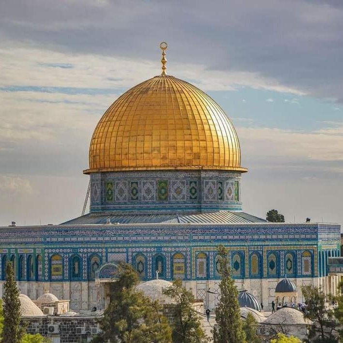 لُجَيْن🇵🇸 tweet media