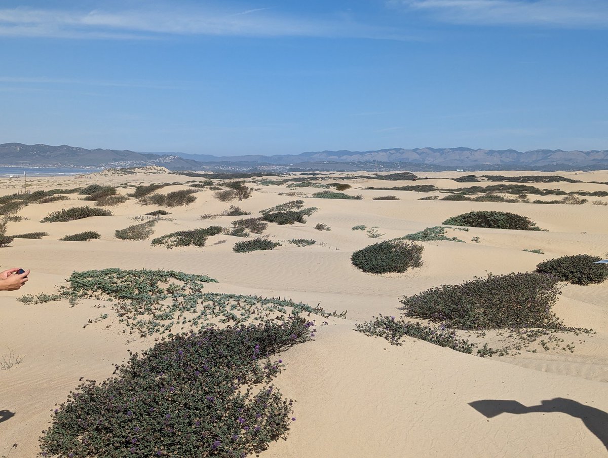 Germán D. Silva 🌎🏳️‍🌈🇲🇽🇺🇸 tweet media