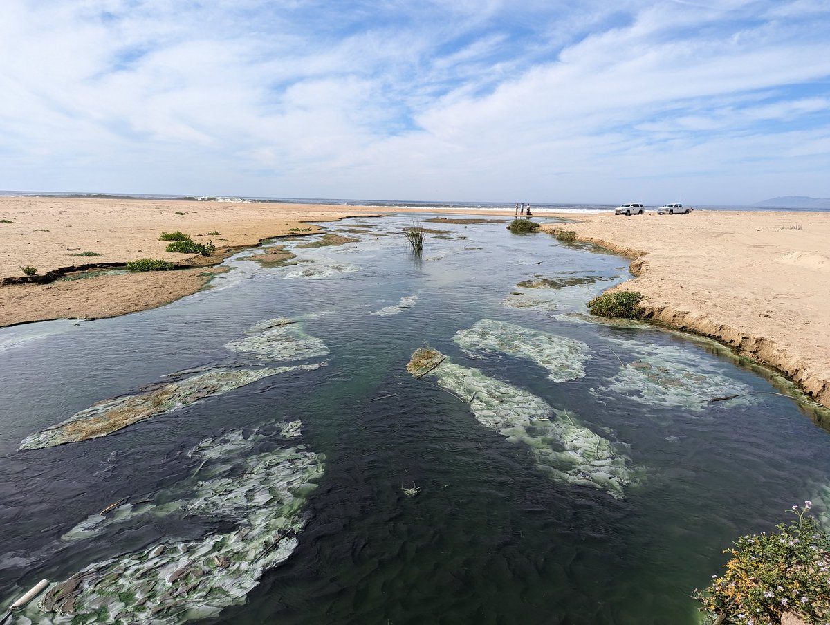 Germán D. Silva 🌎🏳️‍🌈🇲🇽🇺🇸 tweet media
