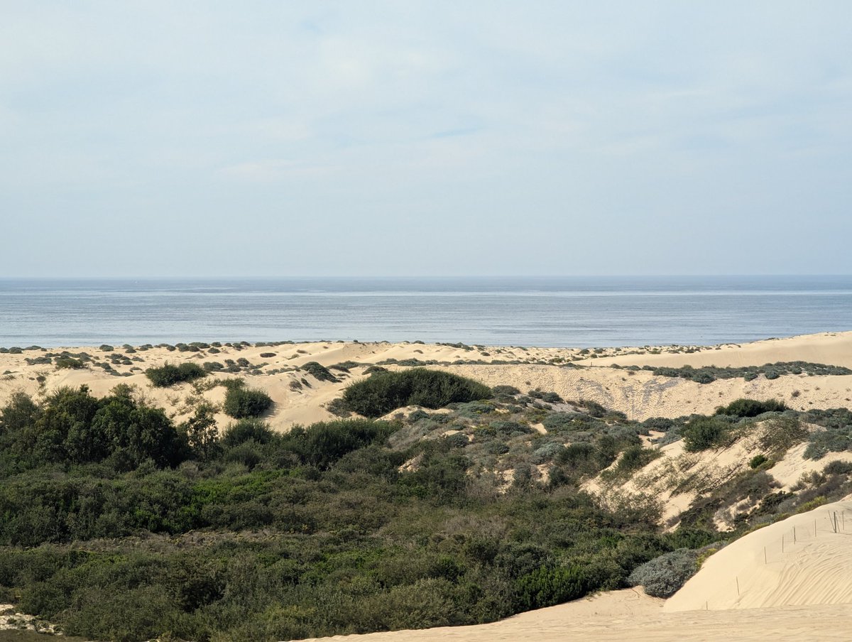 Germán D. Silva 🌎🏳️‍🌈🇲🇽🇺🇸 tweet media