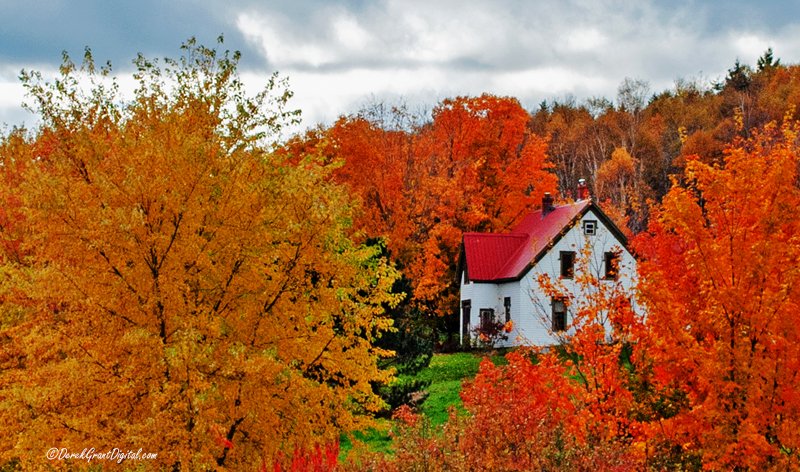 Autumn Abode ~ Homestead in rural Queen's County, NB immersed in autumn splendour. #ThePhotoHour #StormHour #ExploreNB #ExploreCanada #Colourfulfall #Architecture #autumntrees