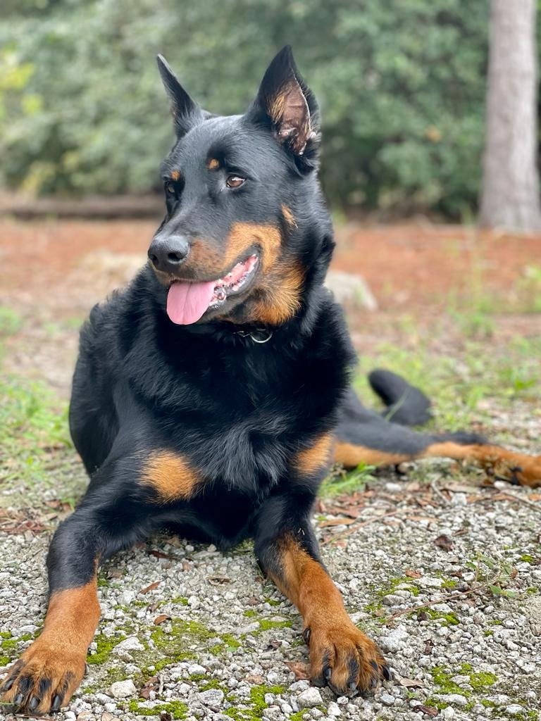 Alexis Ohanian 🗽 tweet media