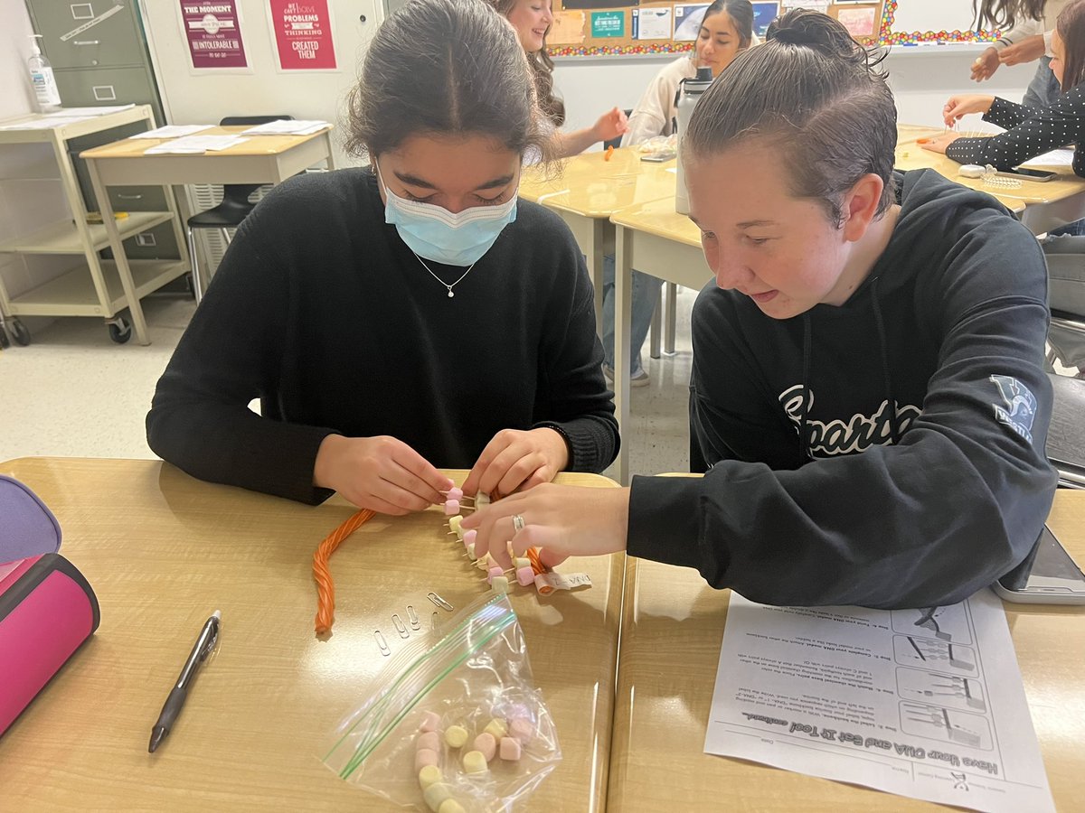 Ms_Sattin's tweet photo. Made some DNA and ate it too 🧬 https://t.co/LzJm7Eznw0