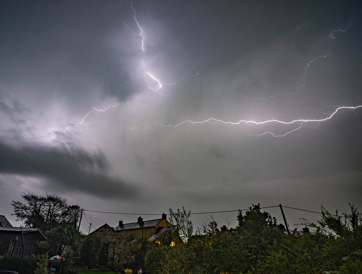 Warren Cardwell tweet media