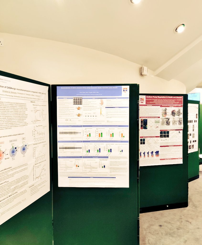 Abhishek Behl tweet media