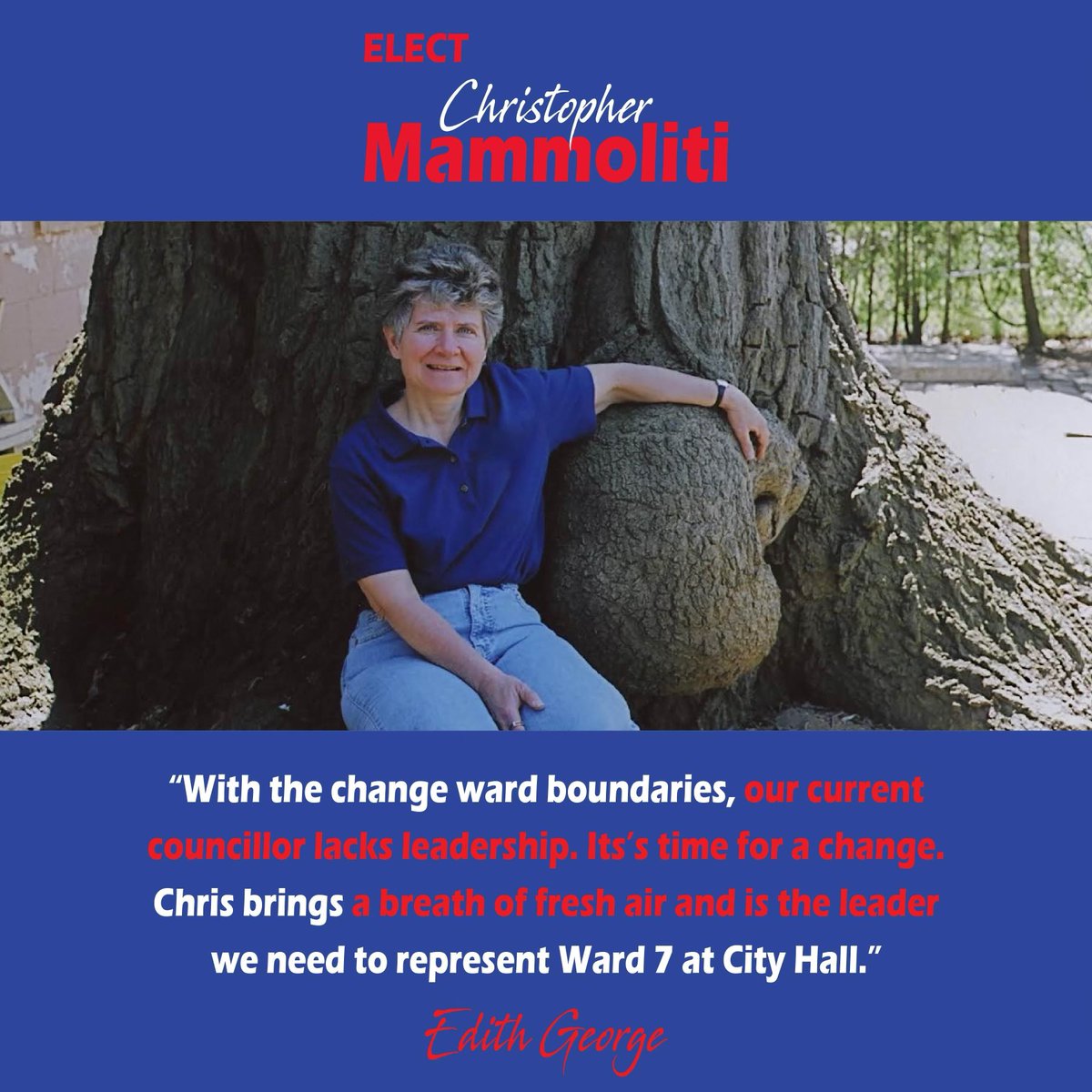 ChrisMammoTO's tweet photo. #HRBC deserves a strong voice at City Hall. A voice that will ensure each #HRBC concern is heard. 

 #teammammoliti #votemammoliti #mammolitiforward7 #HRBC https://t.co/r56GeDz0KC