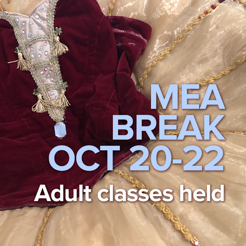 MEA break Thursday, Oct 20 - Saturday, Oct 22. Adult/Teen classes WILL BE HELD on Saturday morning.