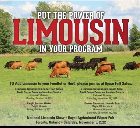Mark these dates on your calendar!Two outstanding opportunities next week to add Limousin Feeder calves to your pen.
<a href="/CDNLimousin/">Canadian Limousin</a> <a href="/BeefFarmersON/">Beef Farmers of Ontario</a>