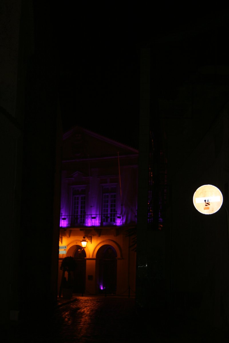 aninhas 🐯🍍 tweet media