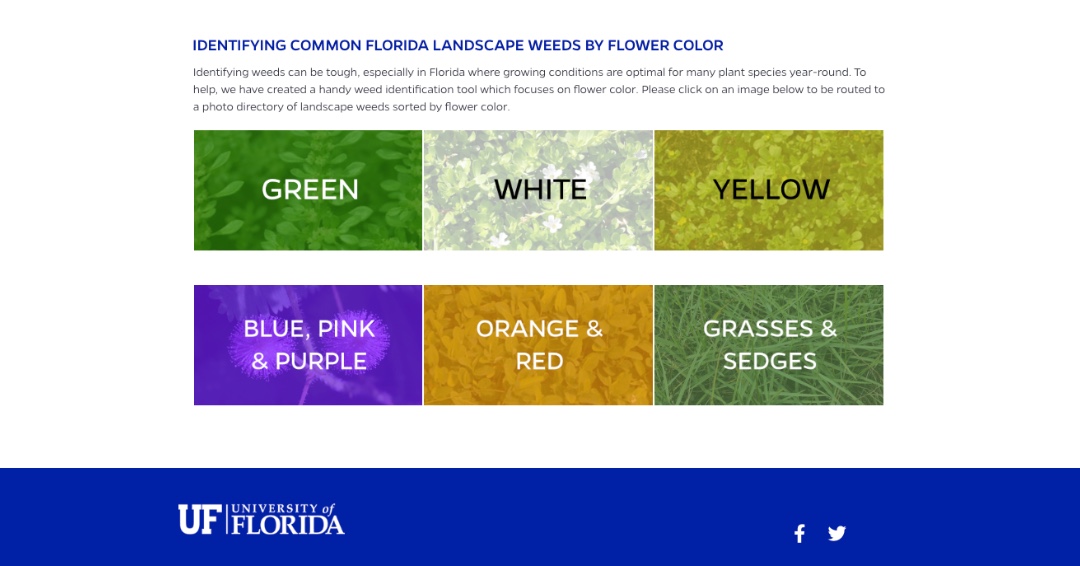 WorldofWeeds's tweet photo. The University of Florida has a neat guide for identifying the common landscape weeds by flower color. Check it out!

https://t.co/WcccMjctES

#WSSA #landscaping #weedscience #weedidentification #vegetation #invasiveplants https://t.co/S3hcuHrXI2