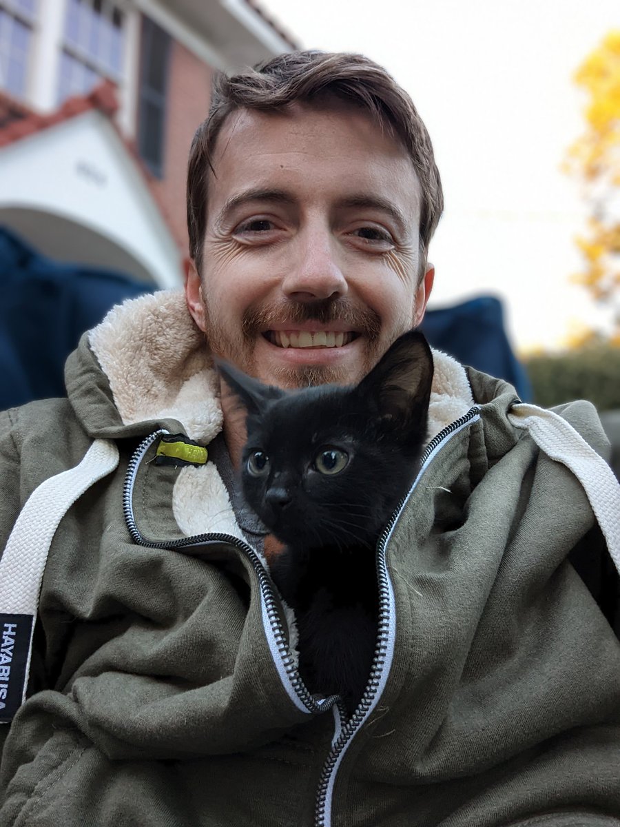 Charliecss's tweet image. I adore my neighbors foster cat so much. He's so sweet and chill