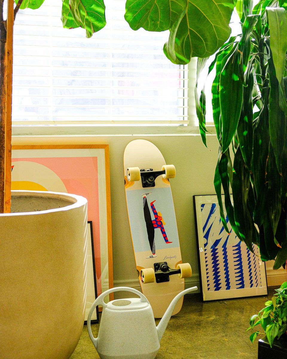 Sebastian Curi tweet media