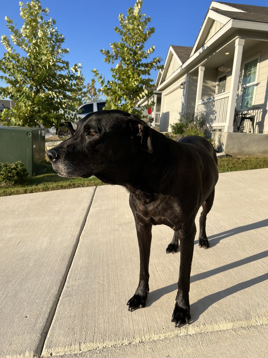 awstein_'s tweet image. 🥹