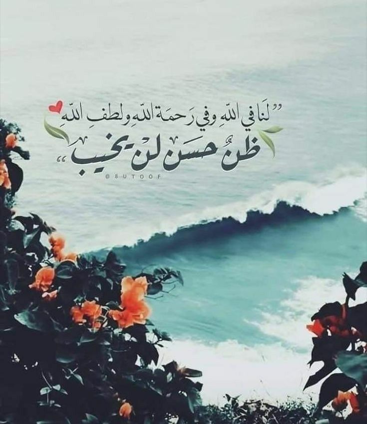 NAGWA (@nagwa5185) on Twitter photo 