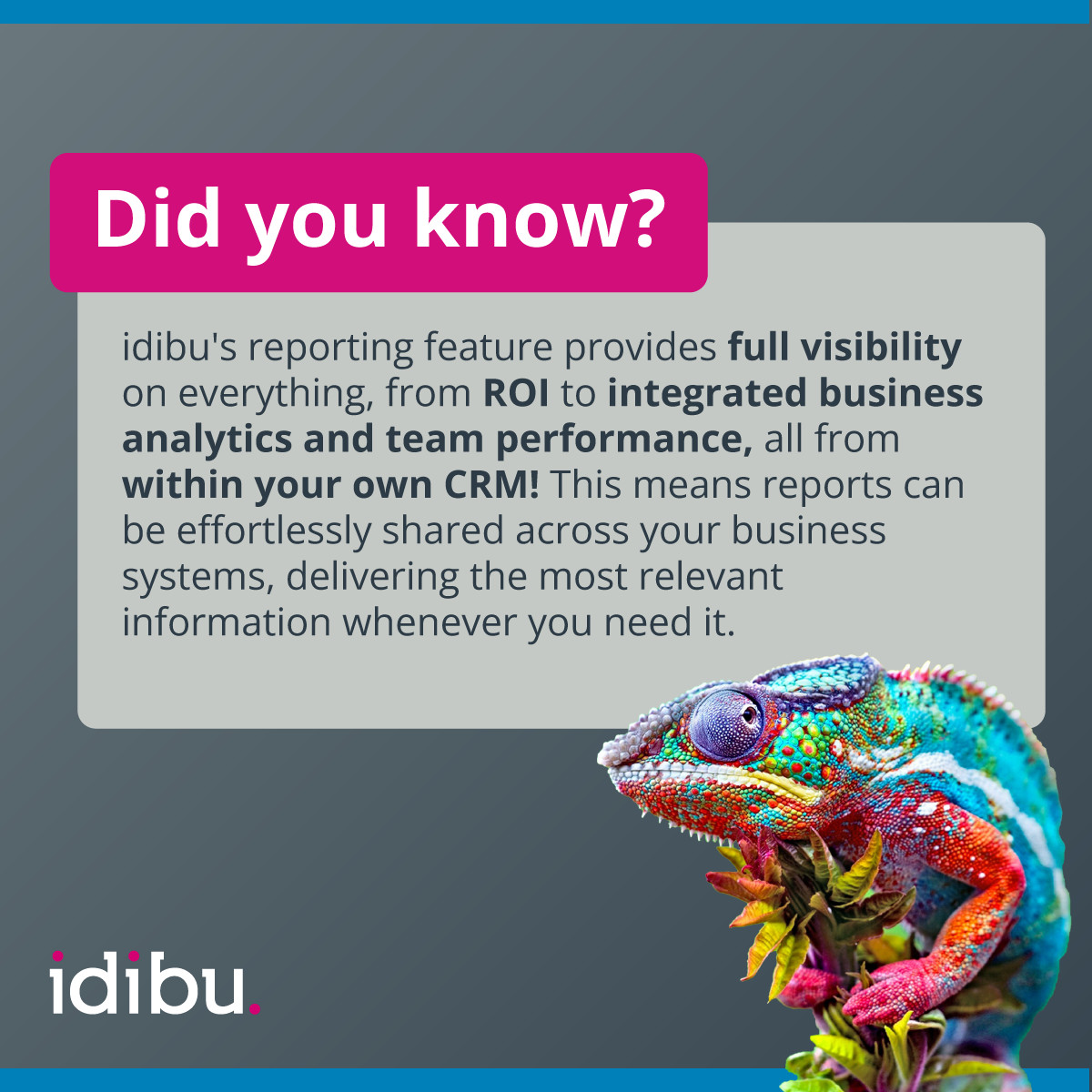 HazelWalkr's tweet photo. Measuring results is a huge part of any recruitment marketing activity, and with idibu we ensure you get full visibility on analytics and reports.

To see more of idibu, book a demo today. 
➡️ https://t.co/i1qyoH6ept

#rectech #exceedingexpectations https://t.co/ETrJSVgTnq