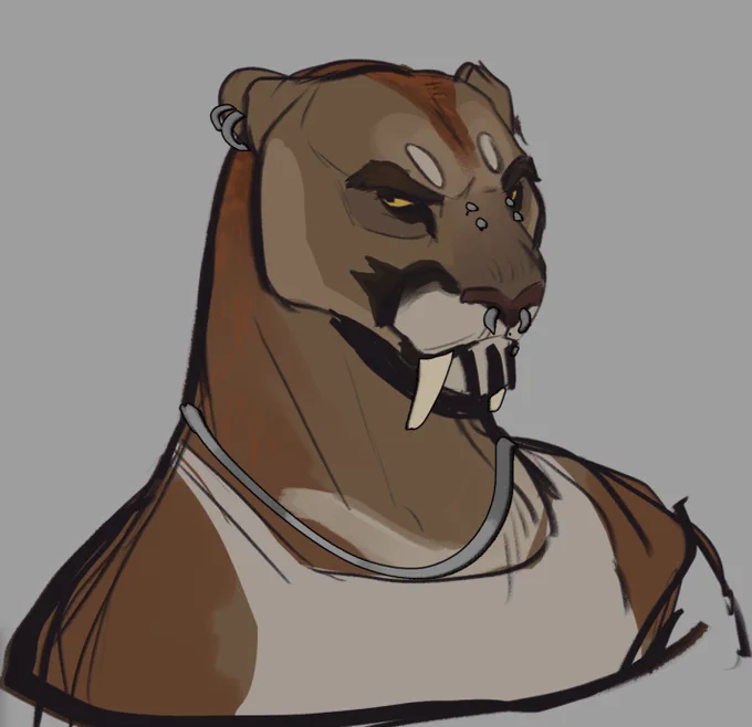 Puma  