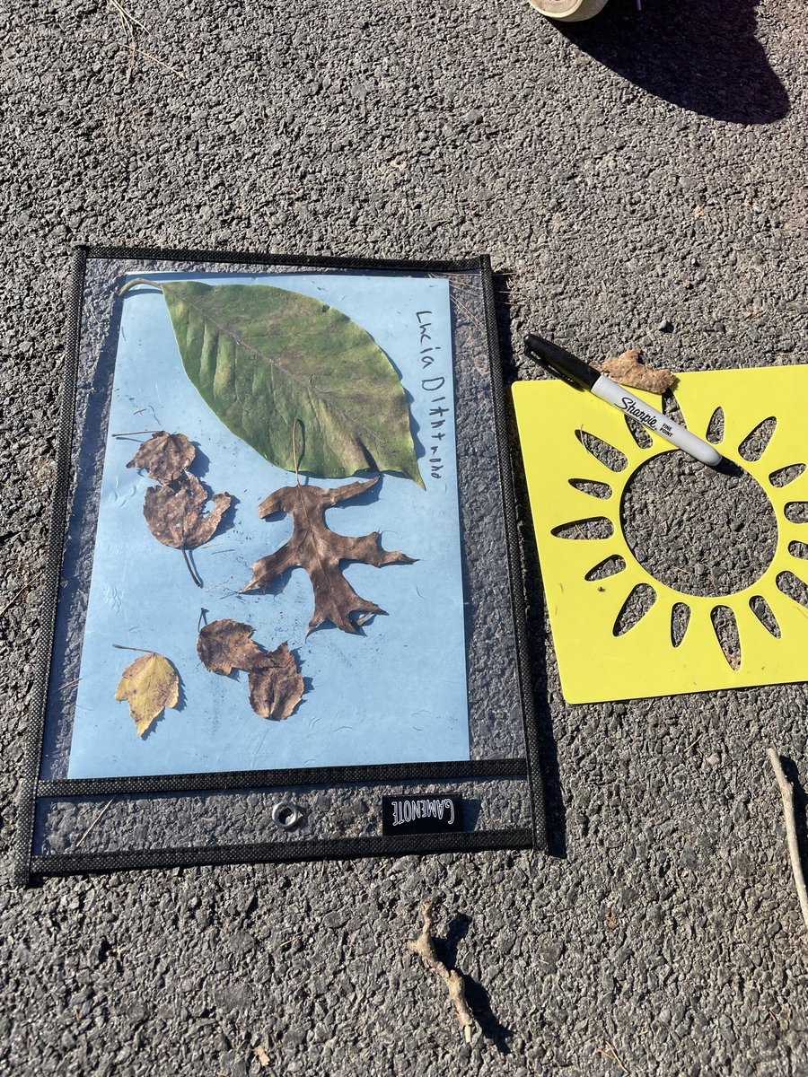 MsBoylanArt's tweet photo. Thanks to a very generous donation @DonorsChoose, my art club experimented with Cyanotype Photography Prints.
The Cyanotype is a photographic printing process that produces blue prints using coated paper and sunlight! ☀️🎨 https://t.co/aAvrKJ2vQK