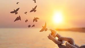 Todo en esta vida pasa. Un día la muerte nos lo arrebata todo. De poco sirve entonces el prestigio, el dinero, el poder... En nada nos benefician los apegos. Cuanto más ligeros de equipaje, más libres para emprender el vuelo. Sólo Dios permanece siempre. Sólo el amor nos salva.