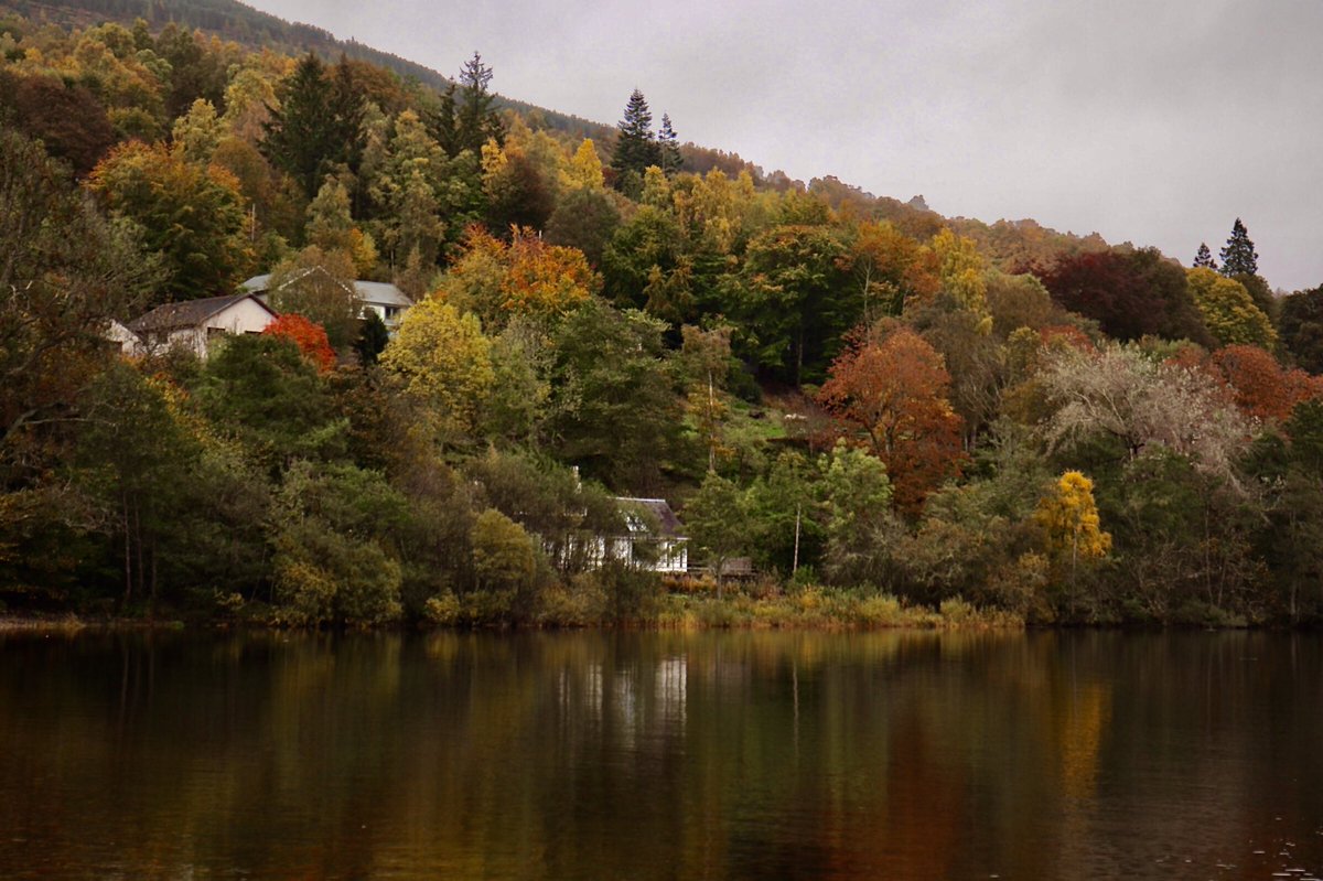 editbadger's tweet photo. Houses reflected in Loch Tay. Croft Moraig stone circle. The 5000-year-old Fortingall Yew. Medieval packhorse bridge aka the ‘Roman Bridge’ #LochTay #Autumn #StoneCircle #CroftMoraig #StandingStones #FortingallYew #RomanBridge #PackhorseBridge #Waterfall #AlltDaGhob #GlenLyon https://t.co/l5KOdeAFSX