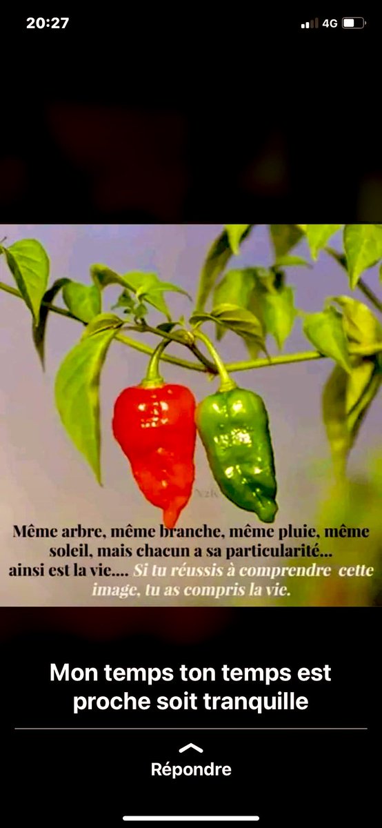 Inchalla pour va venir un jour seulement