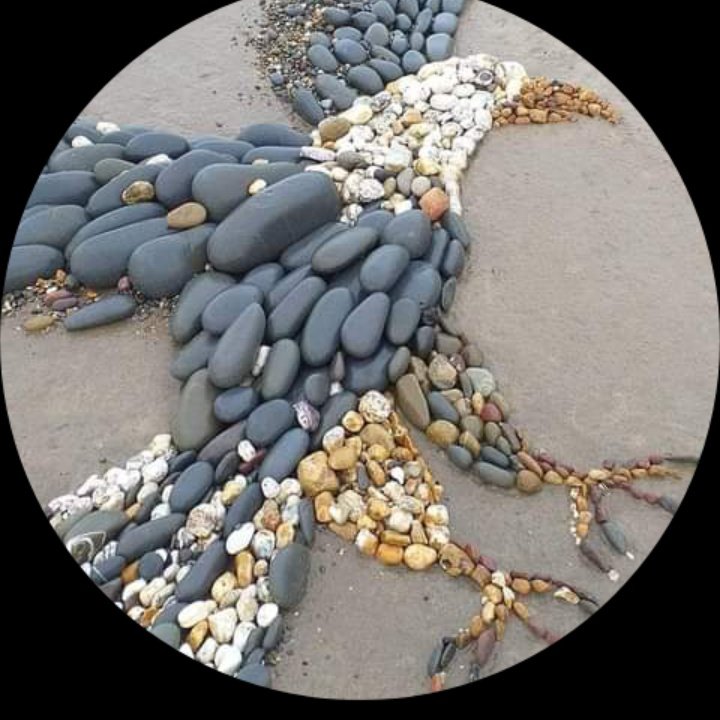 MbarzShwkh's tweet photo. #NewProfilePic https://t.co/7xUQ28TjdT