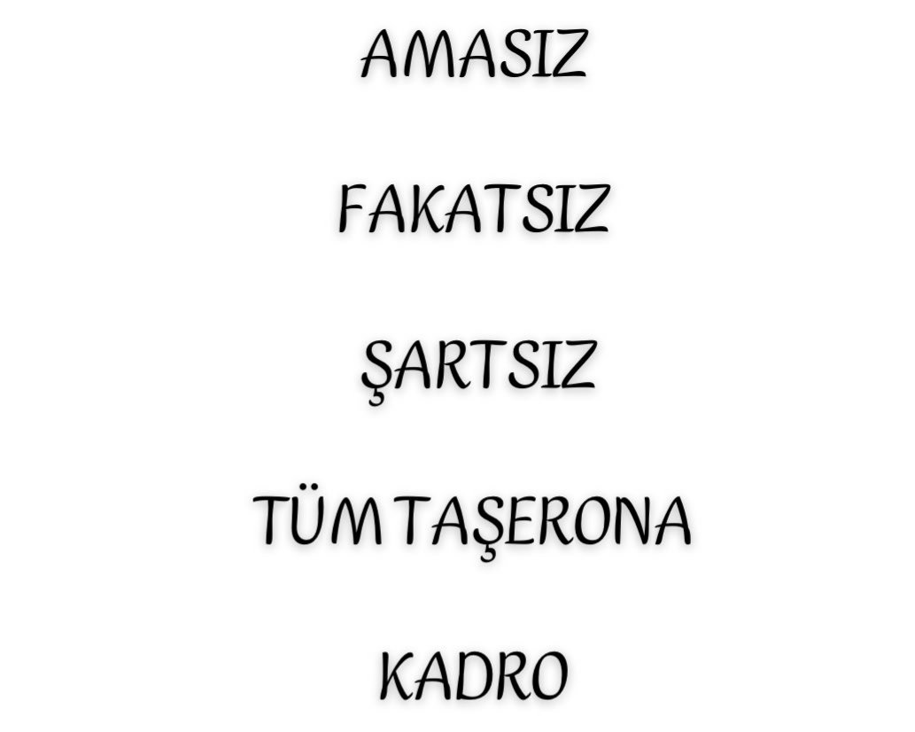 Kamu’da taşeron sisteme SON... @RTErdogan @dbdevletbahceli @vedatbilgn #TaşeronaHayırKadroyaEvet