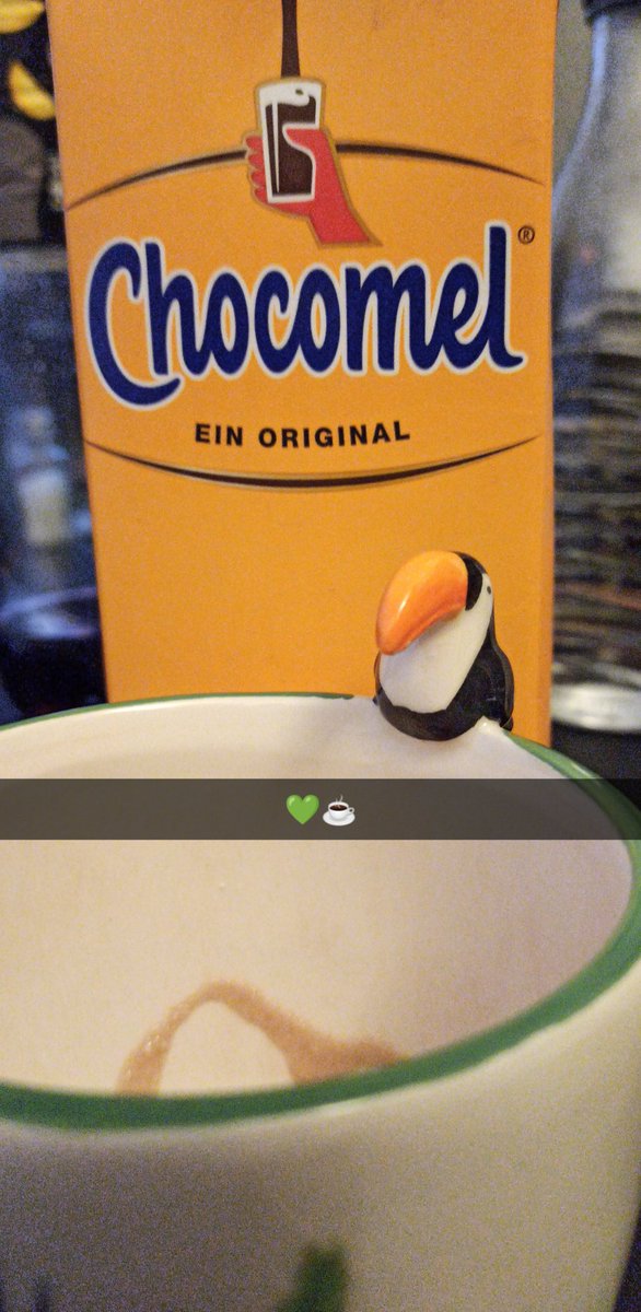 Nanixchani's tweet photo. Heute habe ich mir eine Tasse Kakao gegönnt 🥰 Mr. Tukan fand die Idee auch sehr schön 🤣🦜 #Chocomel #MrTukan https://t.co/2P3lVv4ebE