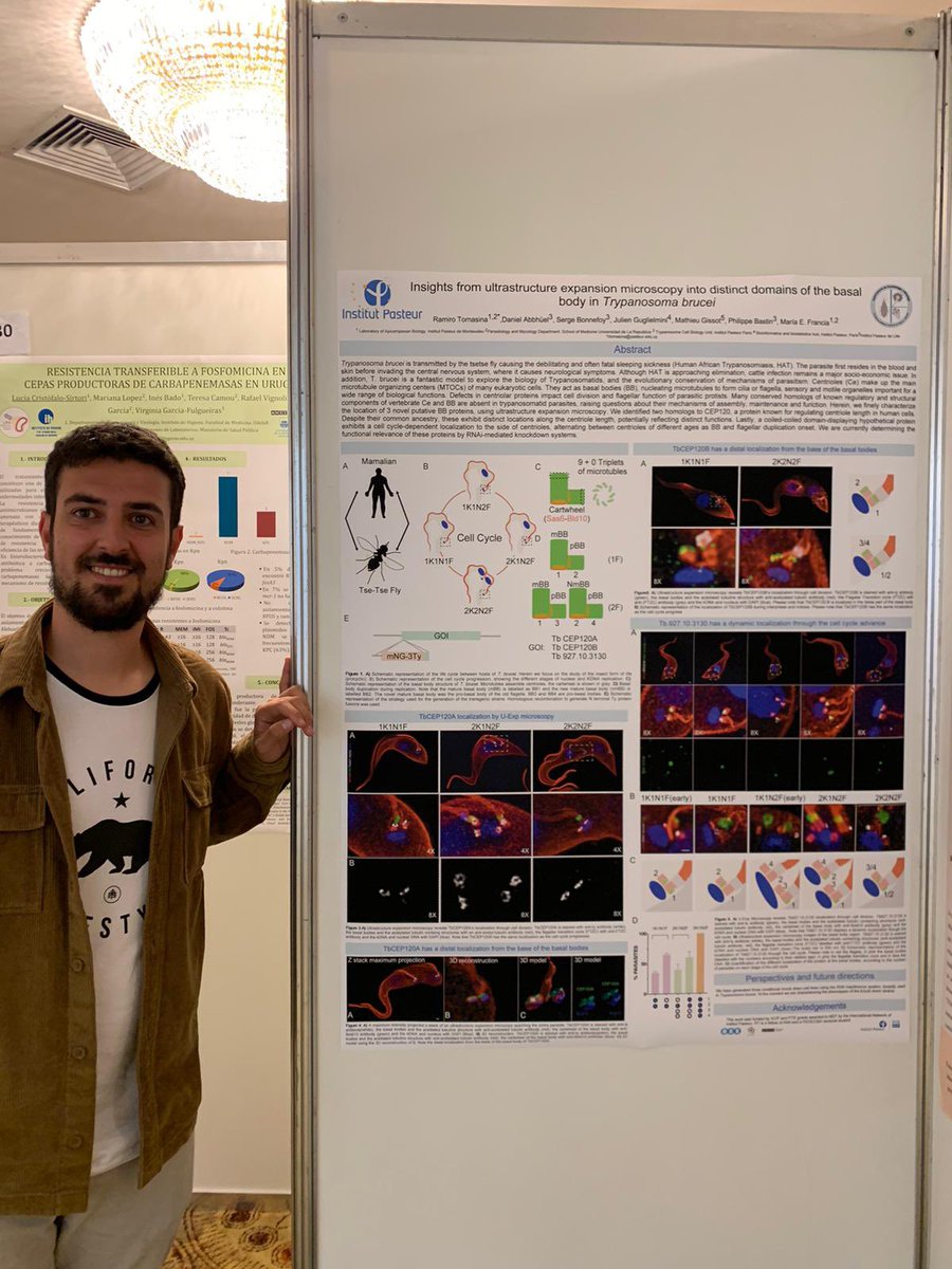 Maria E. Francia (she/her) tweet media