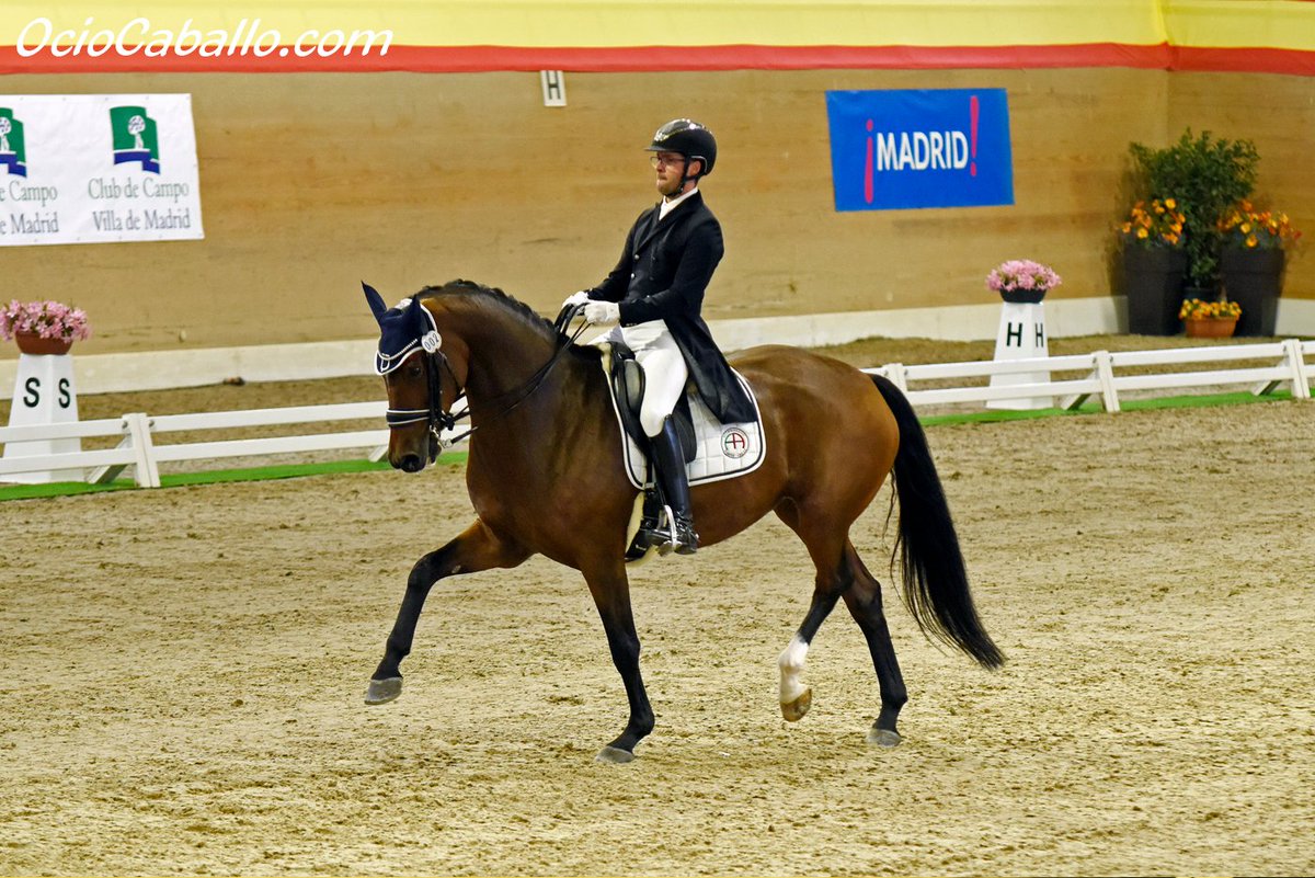OcioCaballo's tweet photo. Arranca la Copa del Rey de Doma Clásica 2022 con los caballos jóvenes | FOTOS 📸

🐴 El viernes comienza el CDI4* clasificatorio para la Copa ANCCE

✏️NOTICIA COMPLETA EN: https://t.co/Ud4Nl40uu1 https://t.co/WBAyywgwTX