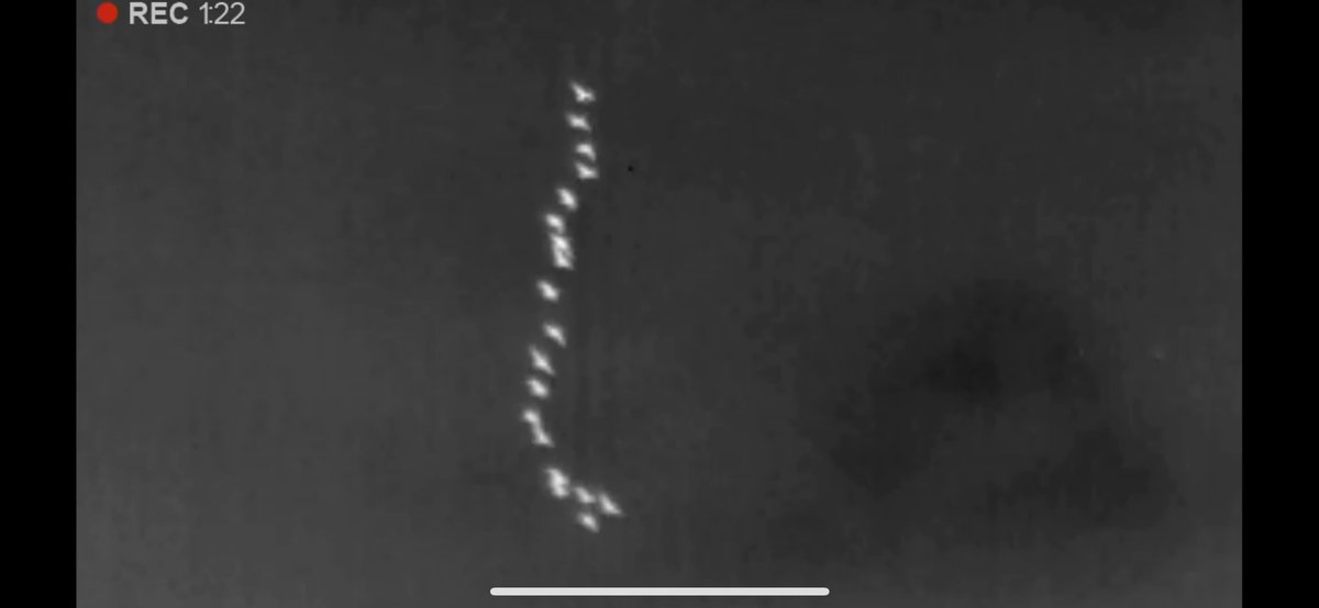 devilbirder's tweet image. Scanning for Redwings in the dark produced a garden tick with 20 Brent Geese calling as they flew west tonight (one out of frame)!