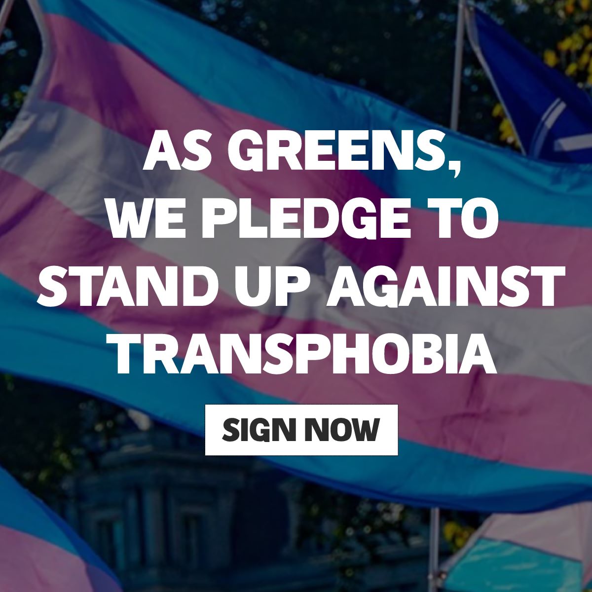 💚 @TheGreenParty has inclusive & progressive policies; the majority of members support trans & non-binary people ❤️‍🩹 We haven’t done enough to show this support 📝 Will you join our pledge to stand up against transphobia? actionnetwork.org/forms/pledge-t…