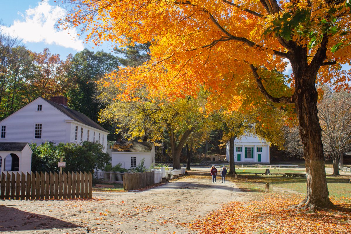 Common views are anything but ordinary! #MuseumMomentOfZen 🍁🍂 

#FallFoliage