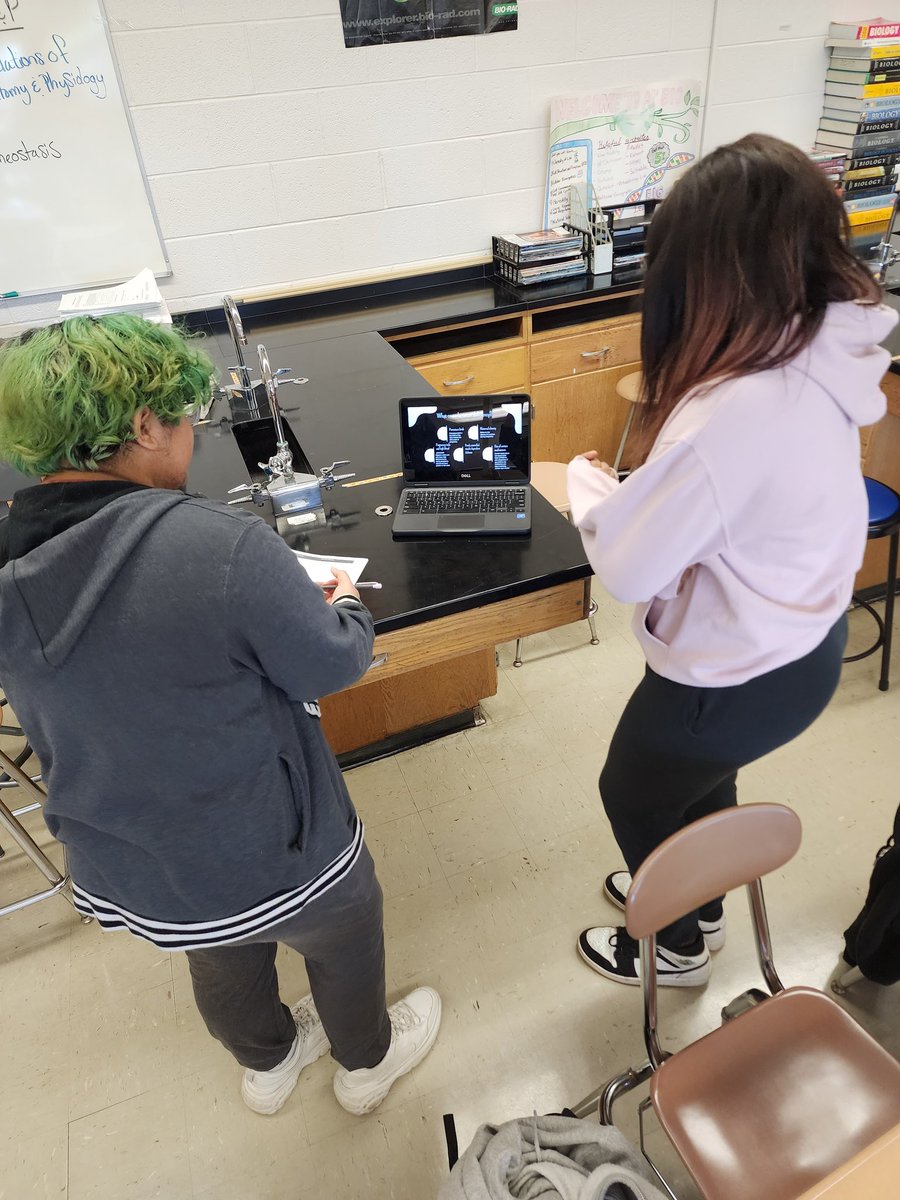 CParsio's tweet photo. Anatomy &amp; Physiology period 6. So far amazing projects and such interesting topics for regulation and homeostasis!! #MsPScience @SomervilleHSNJ #ILobeAnatomy #PassionProject https://t.co/uG2Zwrb2CE