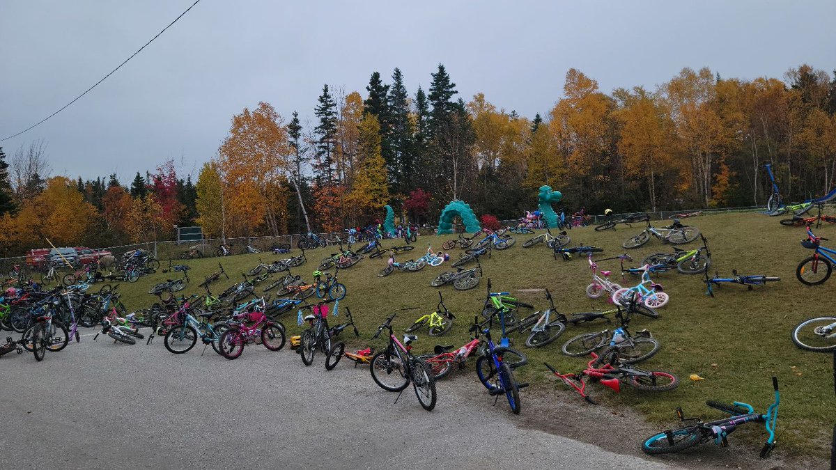 SchoolHealthNL's tweet image. What a lot of bikes! Students, staff and volunteers were certainly active today @pasadenaelem  #ActiveTransportationDay2022 @ActiveSchoolsNL @PasadenaNL @schoolsportsnl
