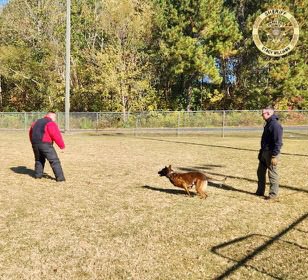 HCSO_K9Janco's tweet photo. Some action shots of K-9 Janco and Sgt. McAdams at training today. We appreciate @PauldingSheriff and their K-9 Division for allowing us to train with them!
#K9Janco #K9Unit #Training #Team #ThankYou #TrainingIsImportant #Malinois #WorkingDog #Maligator #GoodBoy #Dogs #K9s https://t.co/jncISMSKqc