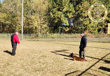 HCSO_K9Janco's tweet photo. Some action shots of K-9 Janco and Sgt. McAdams at training today. We appreciate @PauldingSheriff and their K-9 Division for allowing us to train with them!
#K9Janco #K9Unit #Training #Team #ThankYou #TrainingIsImportant #Malinois #WorkingDog #Maligator #GoodBoy #Dogs #K9s https://t.co/jncISMSKqc