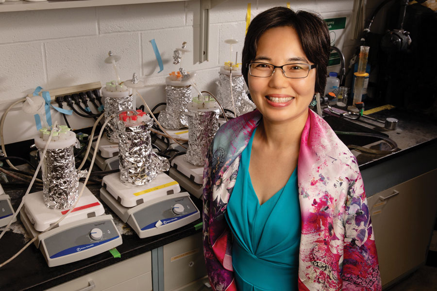 CEE at Illinois (@ceeatillinois) on Twitter photo A team led by #CEEatIllinois professor Helen Nguyen received a $1M grant from @EPAresearch for work to improve wastewater monitoring for rapid detection of the emergence and spread of infectious disease in communities. What a team! <a href="/uofigrainger/">The Grainger College of Engineering</a>
cee.illinois.edu/news/epa-award… A team led by #CEEatIllinois professor Helen Nguyen received a $1M grant from @EPAresearch for work to improve wastewater monitoring for rapid detection of the emergence and spread of infectious disease in communities. What a team! <a href="/uofigrainger/">The Grainger College of Engineering</a>
cee.illinois.edu/news/epa-award…