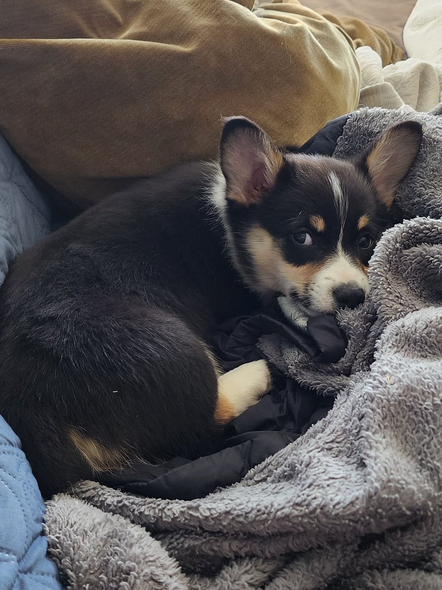 Matt Stultz tweet media