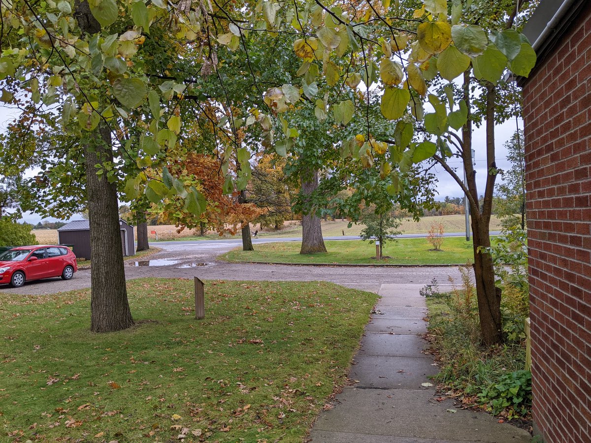 Dan Arppe tweet media