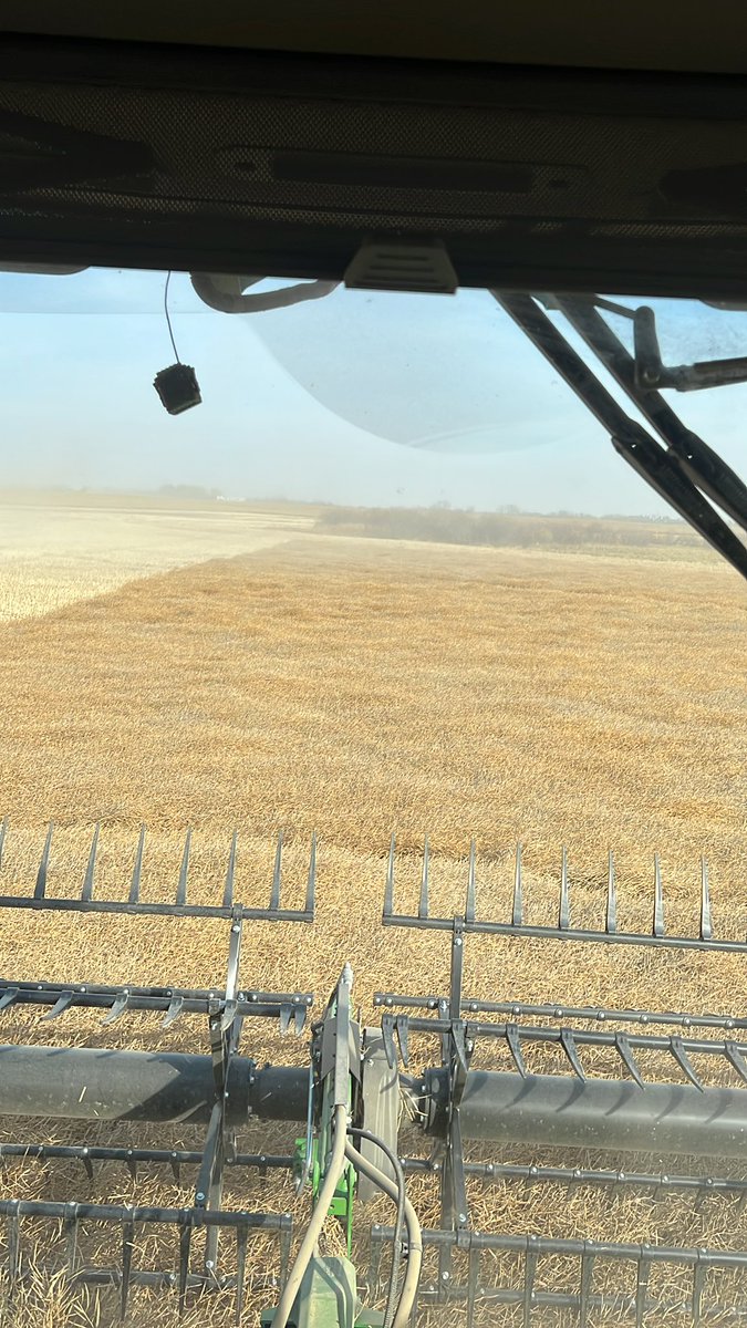 SolonenkoFarms's tweet image. @PioneerSeedsCA saved the best field for last #45CM39 #harvest22 almost done.